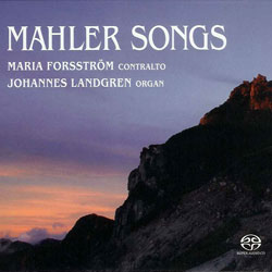 Maria Forsström, contralto
Johannes Landgren,organ
